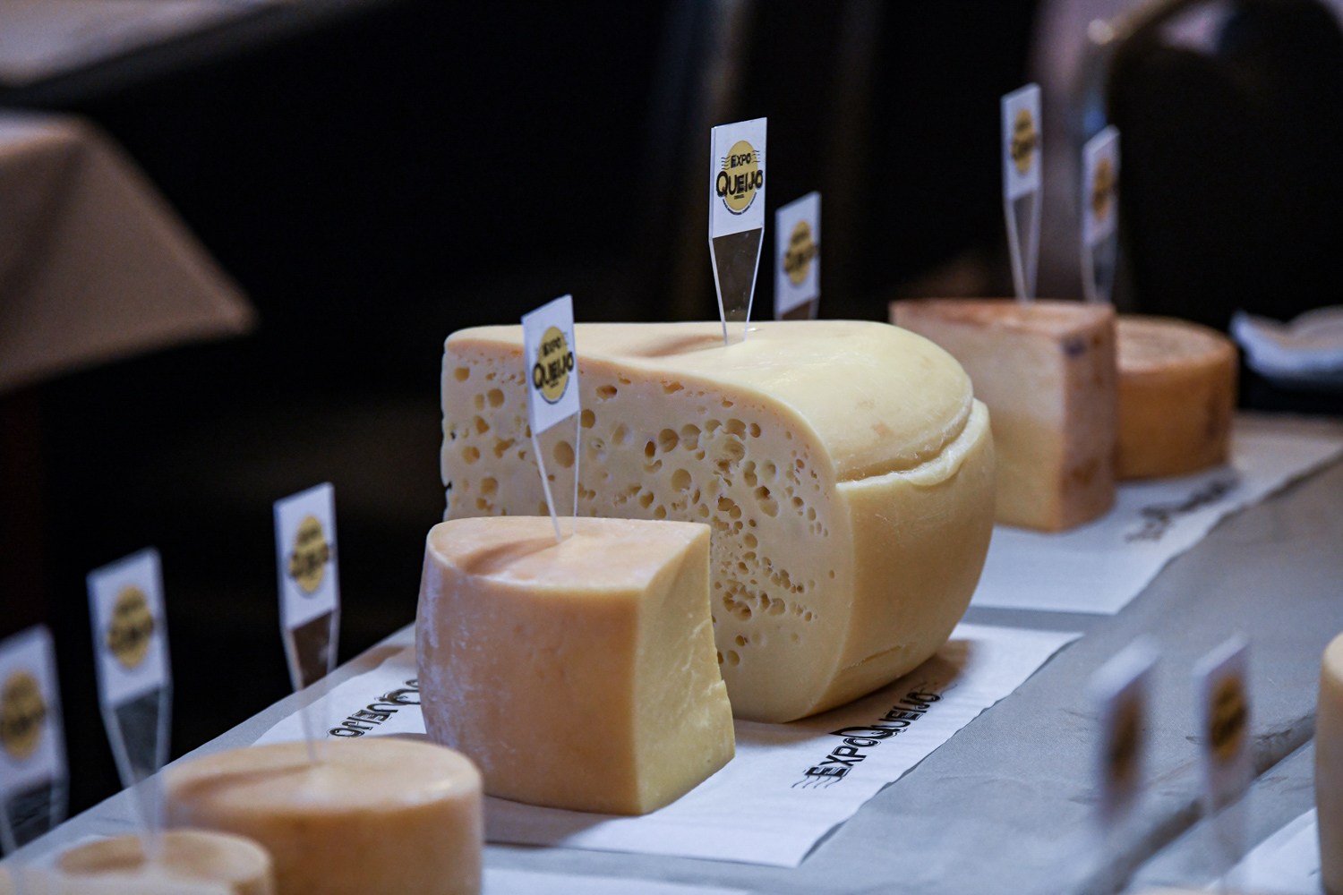 Evento ExpoQueijo 3